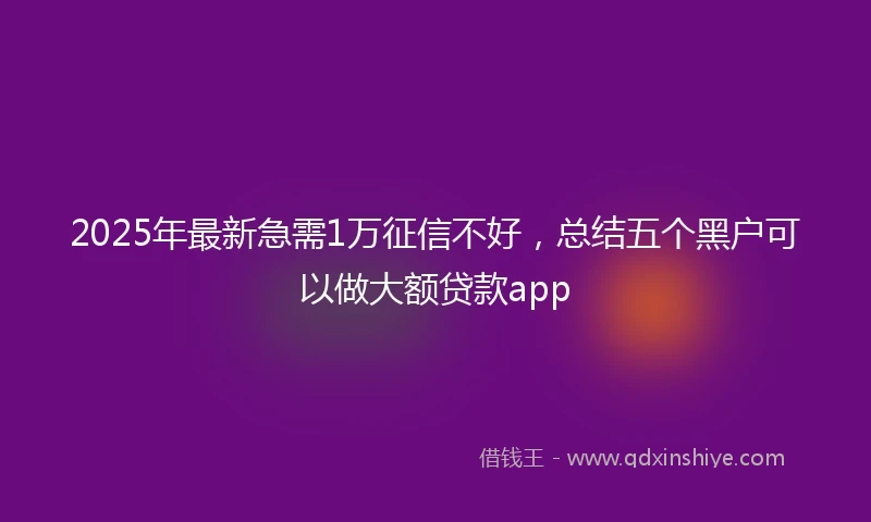 2025年最新急需1万征信不好，总结五个黑户可以做大额贷款app