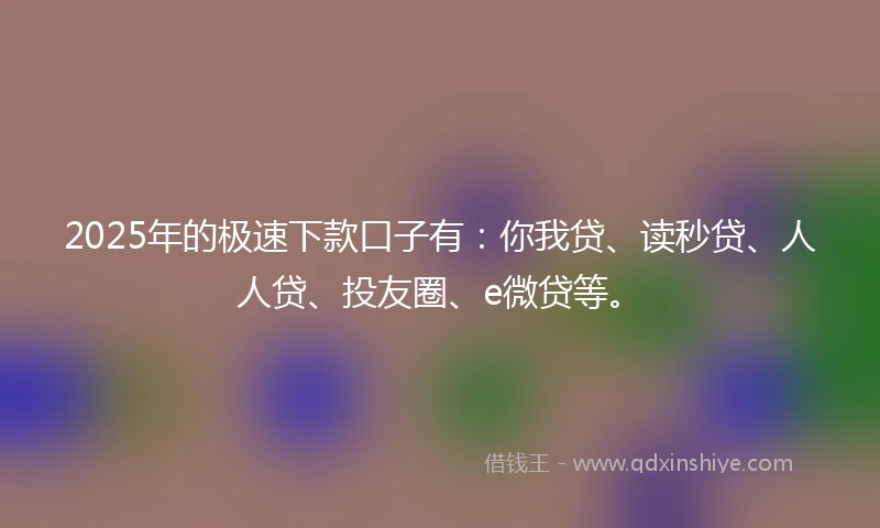 2025年的极速下款口子有：你我贷、读秒贷、人人贷、投友圈、e微贷等。
