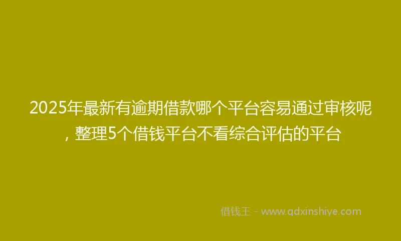 2025年最新有逾期借款哪个平台容易通过审核呢，整理5个借钱平台不看综合评估的平台
