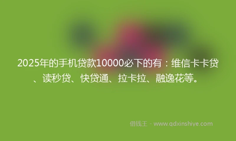 2025年的手机贷款10000必下的有：维信卡卡贷、读秒贷、快贷通、拉卡拉、融逸花等。