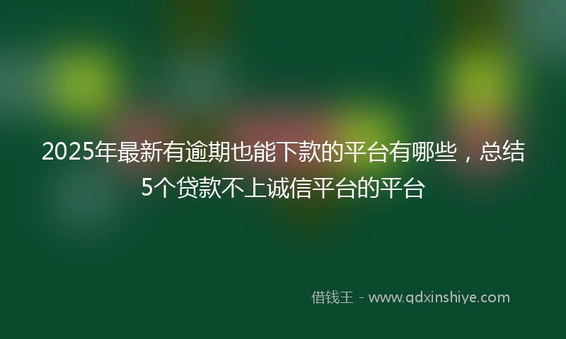 2025年最新有逾期也能下款的平台有哪些，总结5个贷款不上诚信平台的平台