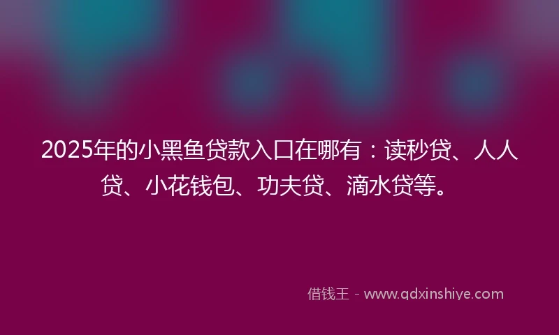 2025年的小黑鱼贷款入口在哪有：读秒贷、人人贷、小花钱包、功夫贷、滴水贷等。