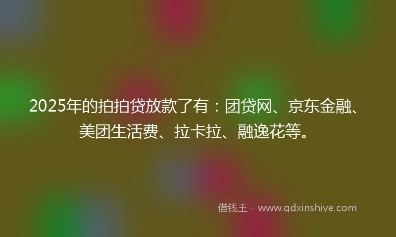 2025年的拍拍贷放款了有：团贷网、京东金融、美团生活费、拉卡拉、融逸花等。