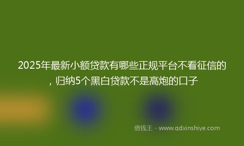 2025年最新小额贷款有哪些正规平台不看征信的，归纳5个黑白贷款不是高炮的口子