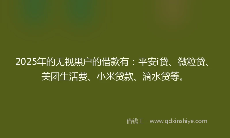 2025年的无视黑户的借款有：平安i贷、微粒贷、美团生活费、小米贷款、滴水贷等。