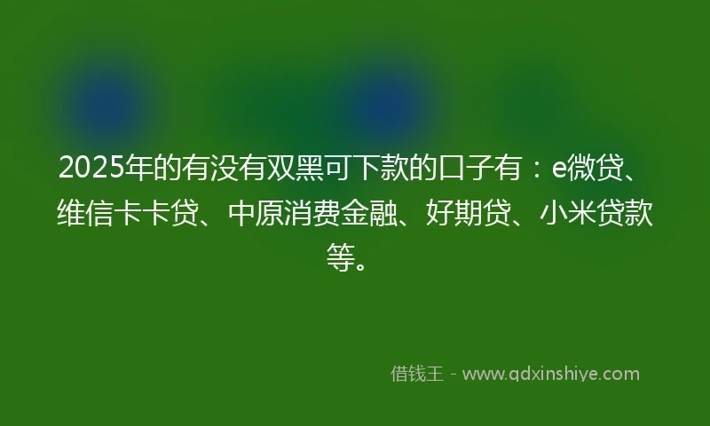 2025年的有没有双黑可下款的口子有：e微贷、维信卡卡贷、中原消费金融、好期贷、小米贷款等。