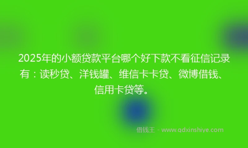 2025年的小额贷款平台哪个好下款不看征信记录有：读秒贷、洋钱罐、维信卡卡贷、微博借钱、信用卡贷等。
