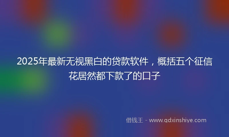 2025年最新无视黑白的贷款软件，概括五个征信花居然都下款了的口子