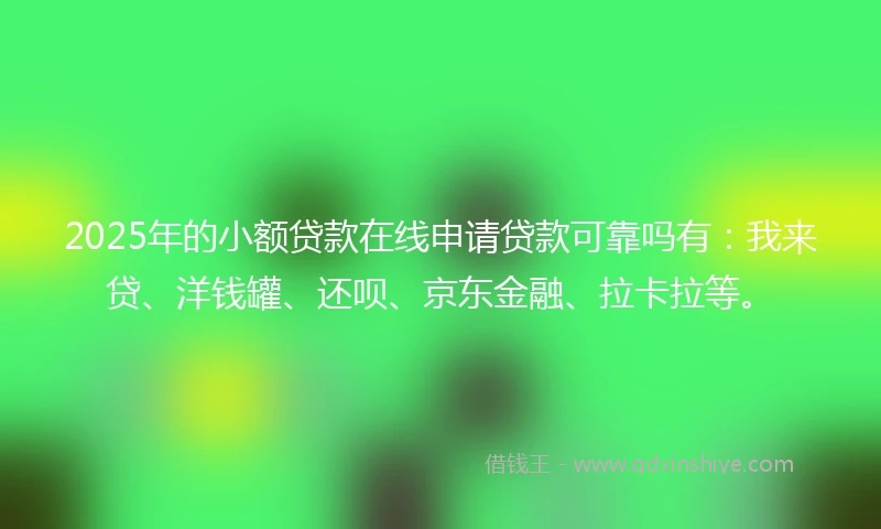 2025年的小额贷款在线申请贷款可靠吗有：我来贷、洋钱罐、还呗、京东金融、拉卡拉等。