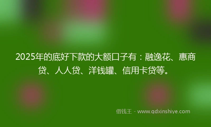 2025年的底好下款的大额口子有：融逸花、惠商贷、人人贷、洋钱罐、信用卡贷等。