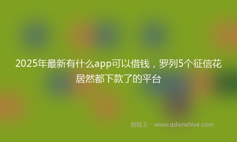 2025年最新有什么app可以借钱，罗列5个征信花居然都下款了的平台