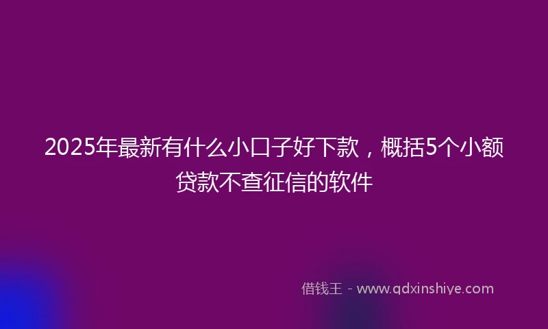 2025年最新有什么小口子好下款，概括5个小额贷款不查征信的软件