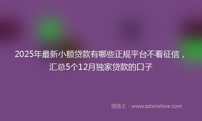 2025年最新小额贷款有哪些正规平台不看征信，汇总5个12月独家贷款的口子