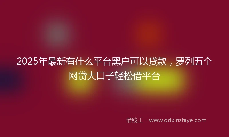 2025年最新有什么平台黑户可以贷款，罗列五个网贷大口子轻松借平台
