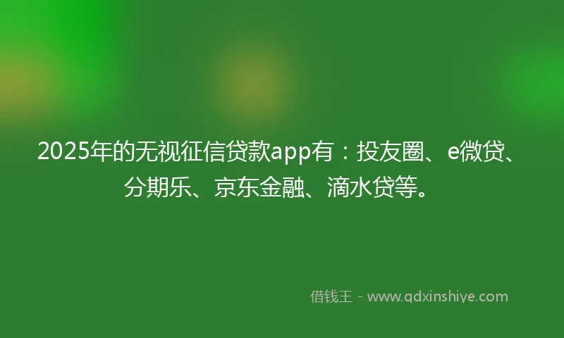 2025年的无视征信贷款app有：投友圈、e微贷、分期乐、京东金融、滴水贷等。