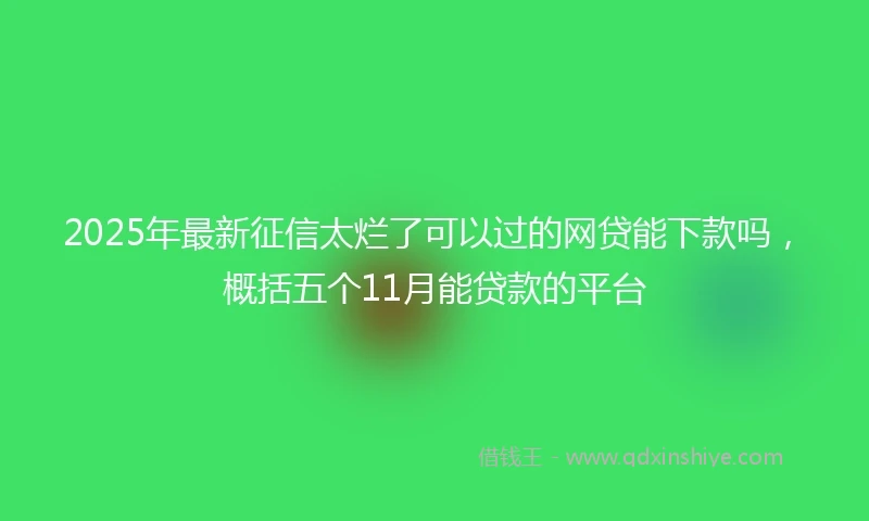 2025年最新征信太烂了可以过的网贷能下款吗，概括五个11月能贷款的平台