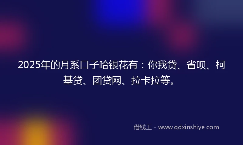 2025年的月系口子哈银花有：你我贷、省呗、柯基贷、团贷网、拉卡拉等。