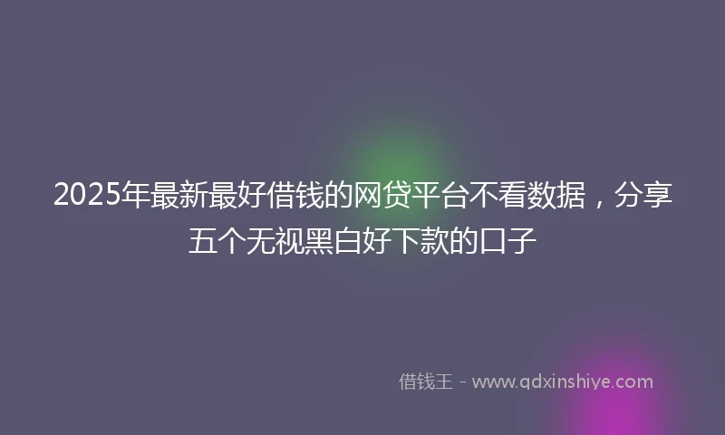 2025年最新最好借钱的网贷平台不看数据，分享五个无视黑白好下款的口子
