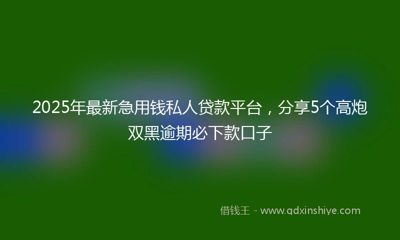 2025年最新急用钱私人贷款平台，分享5个高炮双黑逾期必下款口子