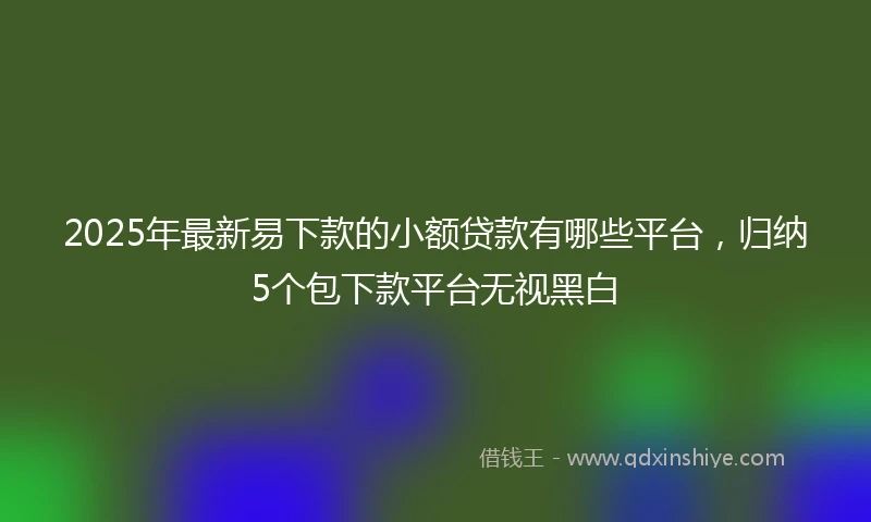 2025年最新易下款的小额贷款有哪些平台，归纳5个包下款平台无视黑白