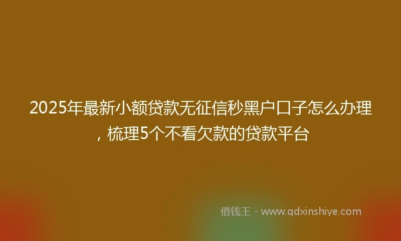 2025年最新小额贷款无征信秒黑户口子怎么办理，梳理5个不看欠款的贷款平台