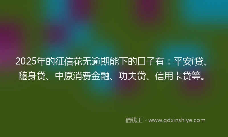 2025年的征信花无逾期能下的口子有：平安i贷、随身贷、中原消费金融、功夫贷、信用卡贷等。