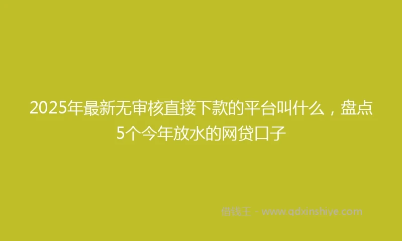 2025年最新无审核直接下款的平台叫什么，盘点5个今年放水的网贷口子