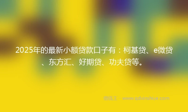 2025年的最新小额贷款口子有：柯基贷、e微贷、东方汇、好期贷、功夫贷等。