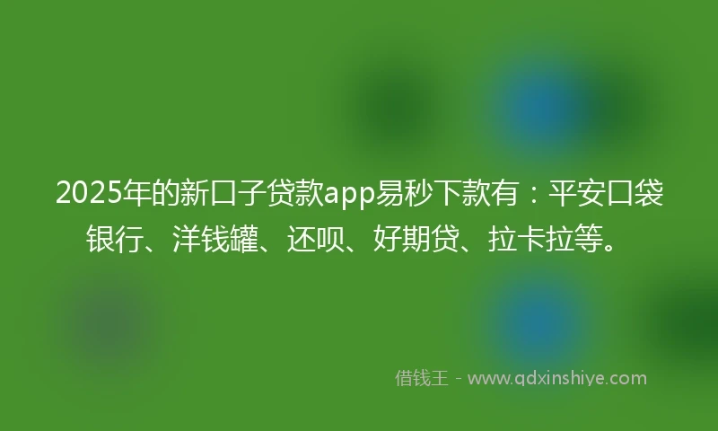 2025年的新口子贷款app易秒下款有：平安口袋银行、洋钱罐、还呗、好期贷、拉卡拉等。