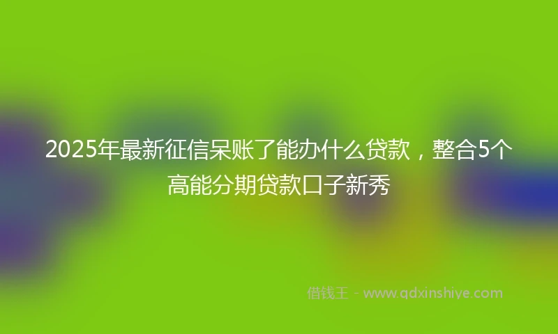 2025年最新征信呆账了能办什么贷款，整合5个高能分期贷款口子新秀