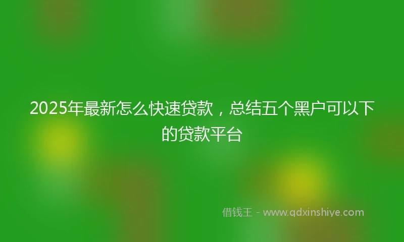 2025年最新怎么快速贷款，总结五个黑户可以下的贷款平台