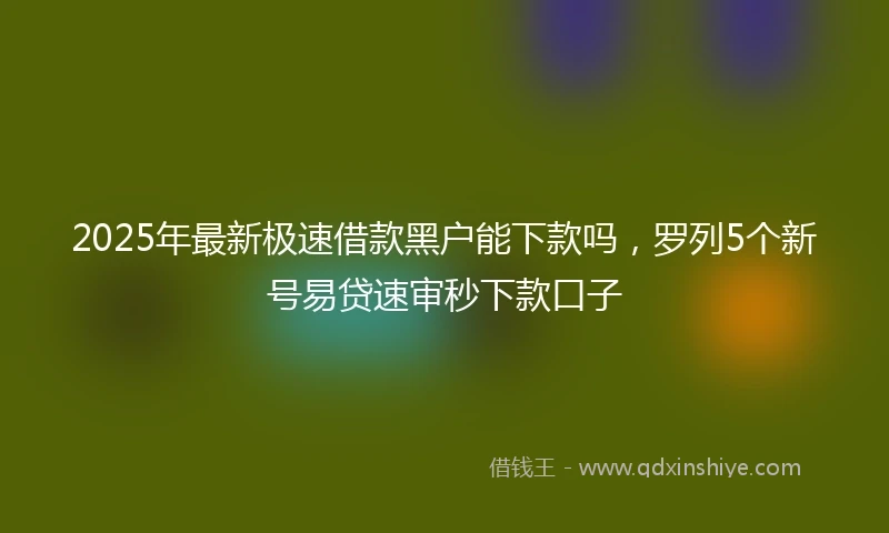 2025年最新极速借款黑户能下款吗，罗列5个新号易贷速审秒下款口子