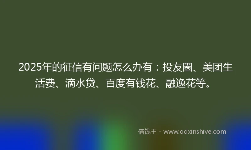 2025年的征信有问题怎么办有:投友圈、美团生活费、滴水贷、百度有钱花、融逸花等。