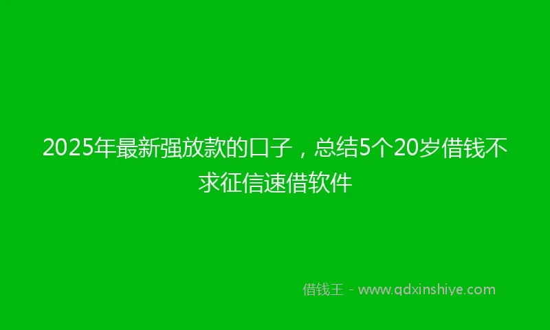 2025年最新强放款的口子，总结5个20岁借钱不求征信速借软件
