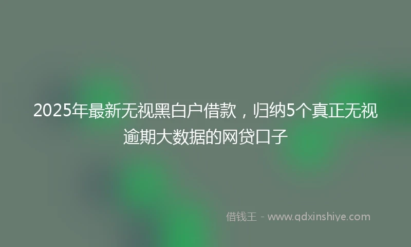 2025年最新无视黑白户借款，归纳5个真正无视逾期大数据的网贷口子