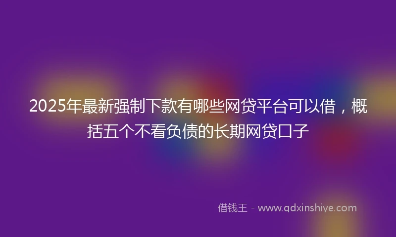 2025年最新强制下款有哪些网贷平台可以借，概括五个不看负债的长期网贷口子