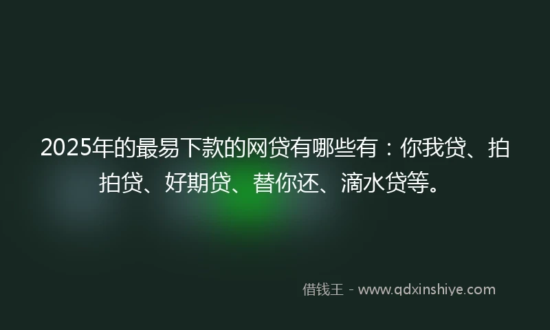 2025年的最易下款的网贷有哪些有：你我贷、拍拍贷、好期贷、替你还、滴水贷等。