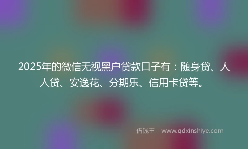 2025年的微信无视黑户贷款口子有：随身贷、人人贷、安逸花、分期乐、信用卡贷等。