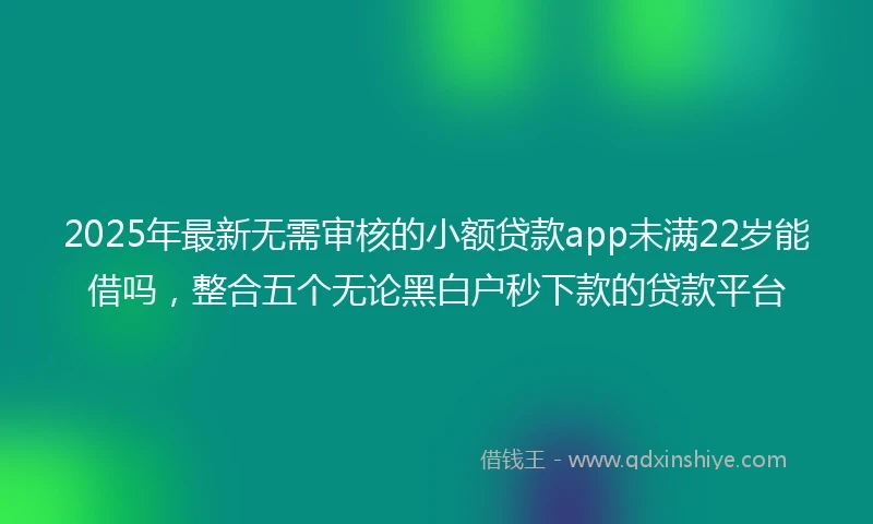 2025年最新无需审核的小额贷款app未满22岁能借吗，整合五个无论黑白户秒下款的贷款平台