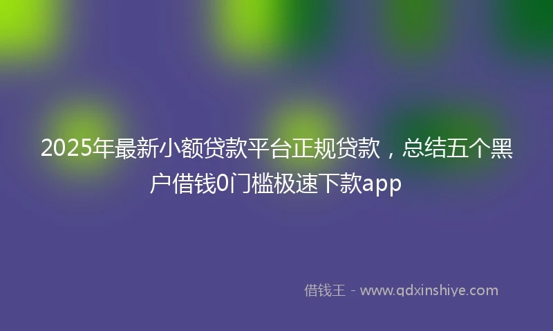 2025年最新小额贷款平台正规贷款，总结五个黑户借钱0门槛极速下款app