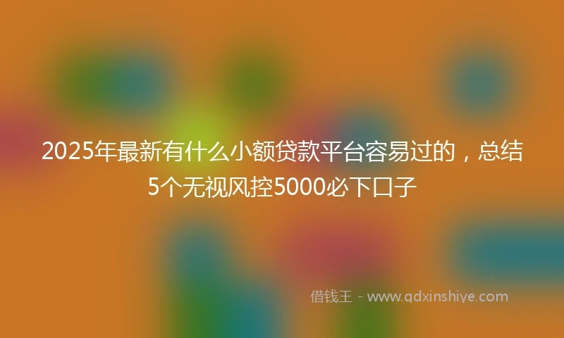 2025年最新有什么小额贷款平台容易过的，总结5个无视风控5000必下口子