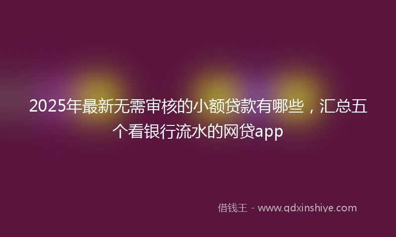 2025年最新无需审核的小额贷款有哪些，汇总五个看银行流水的网贷app