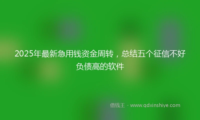 2025年最新急用钱资金周转，总结五个征信不好负债高的软件