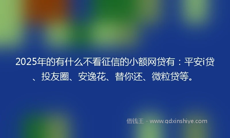 2025年的有什么不看征信的小额网贷有：平安i贷、投友圈、安逸花、替你还、微粒贷等。