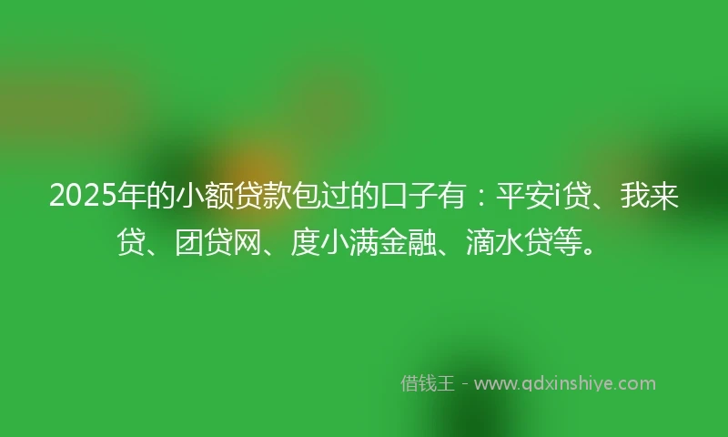 2025年的小额贷款包过的口子有：平安i贷、我来贷、团贷网、度小满金融、滴水贷等。
