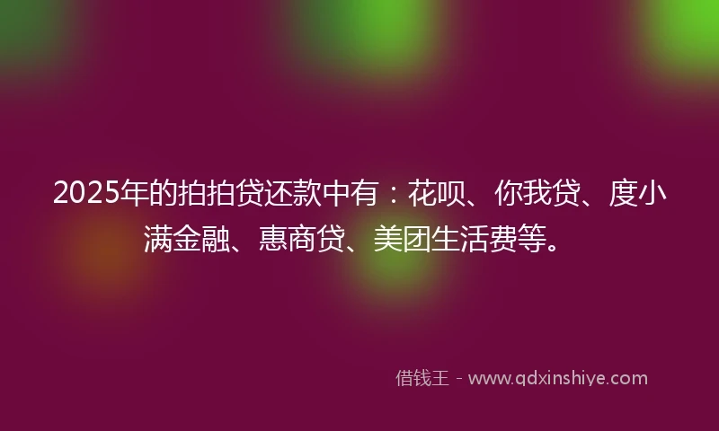 2025年的拍拍贷还款中有：花呗、你我贷、度小满金融、惠商贷、美团生活费等。