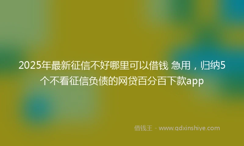 2025年最新征信不好哪里可以借钱 急用，归纳5个不看征信负债的网贷百分百下款app
