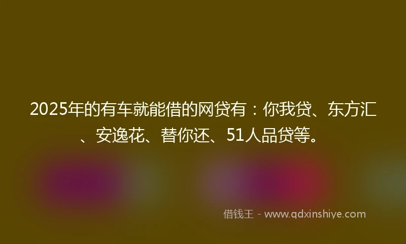 2025年的有车就能借的网贷有：你我贷、东方汇、安逸花、替你还、51人品贷等。