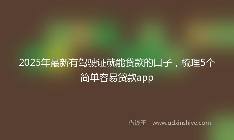 2025年最新有驾驶证就能贷款的口子，梳理5个简单容易贷款app