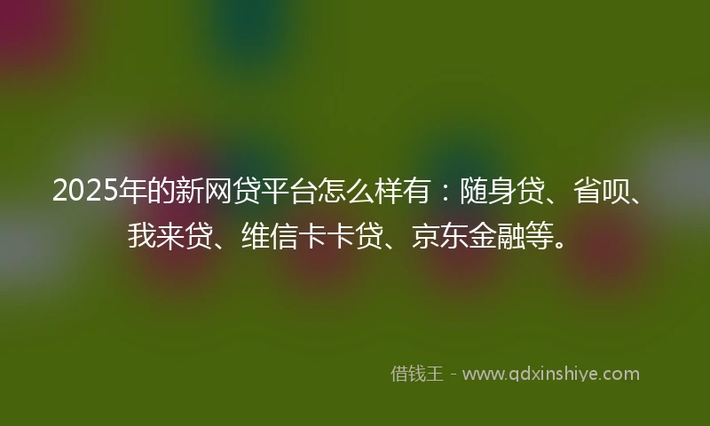 2025年的新网贷平台怎么样有：随身贷、省呗、我来贷、维信卡卡贷、京东金融等。
